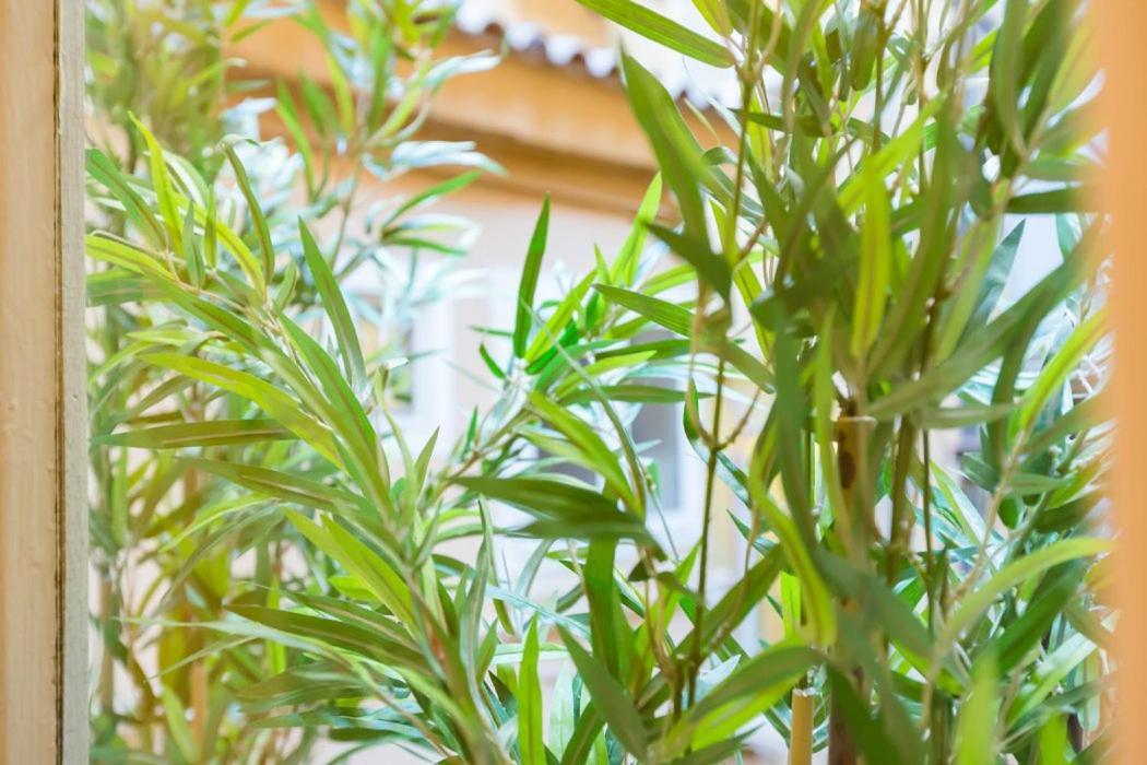 Spanish Step Nest Luxury Apartamento
